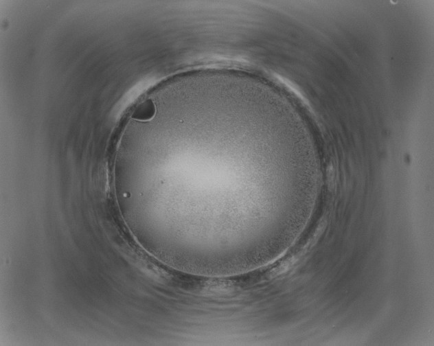 X0000063521267200601201424