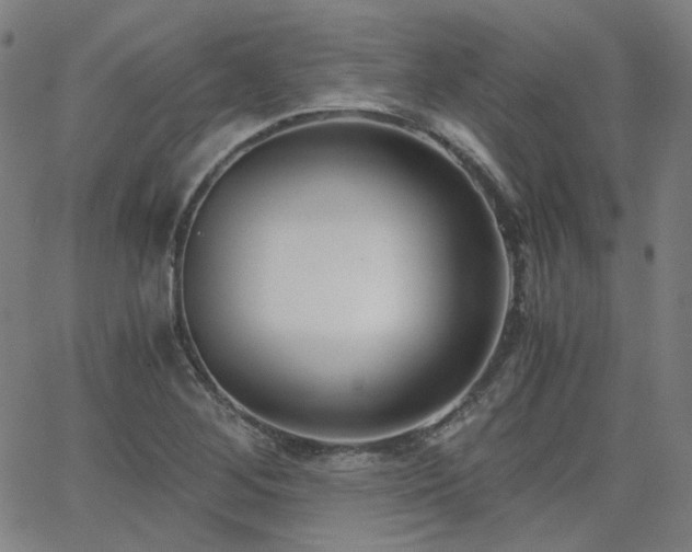 X0000063521268200601201424