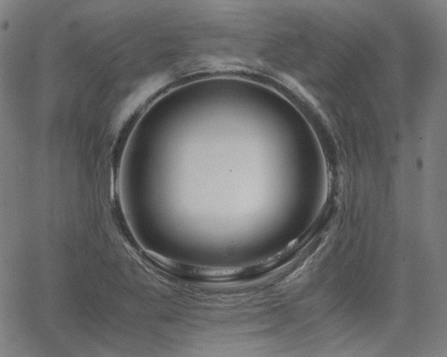 X0000063521269200601201424