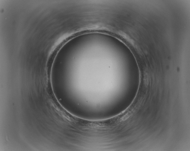 X0000063521270200601201424