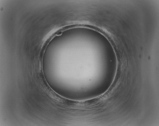 X0000063521271200601201424