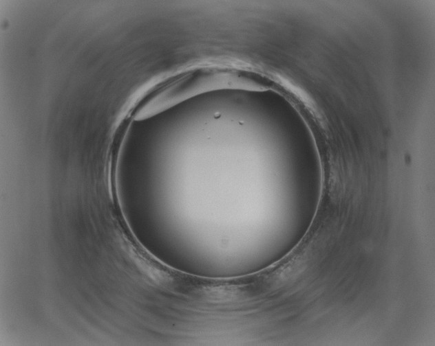 X0000063521272200601201424