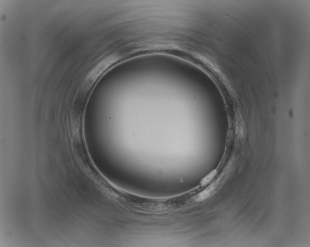 X0000063521273200601201424