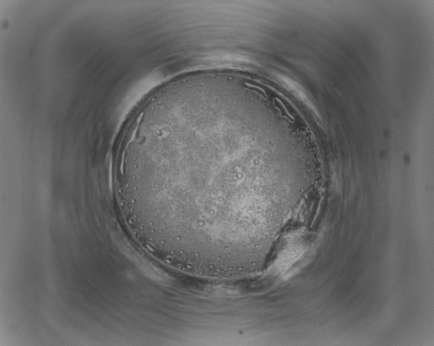 X0000063521275200601201424