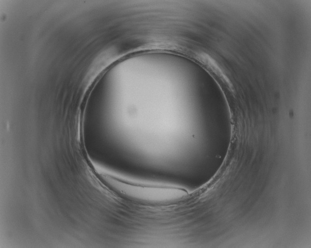 X0000063521276200601201424