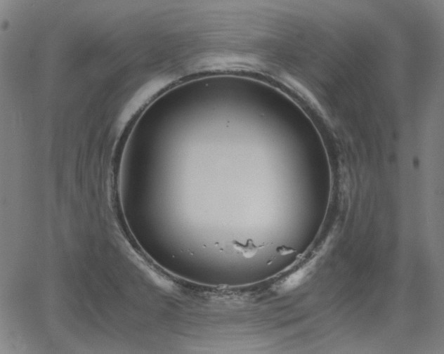 X0000063521277200601201424