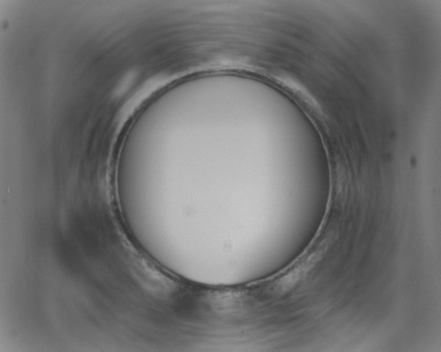 X0000063521278200601201424