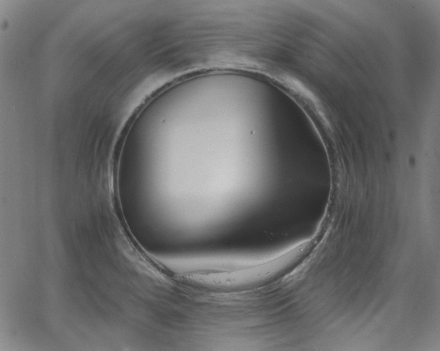 X0000063521280200601201424