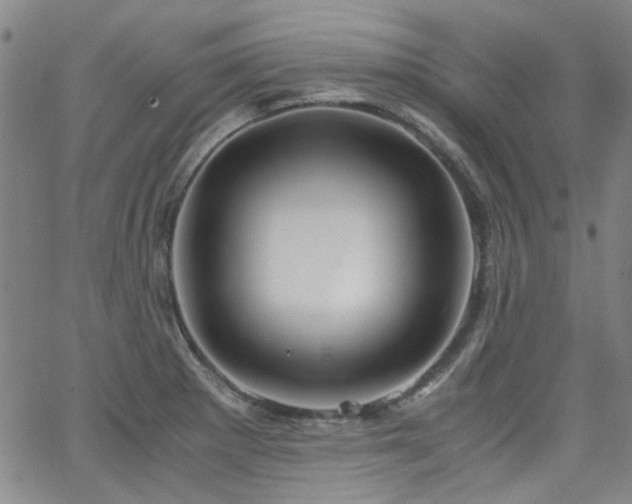 X0000063521281200601201424