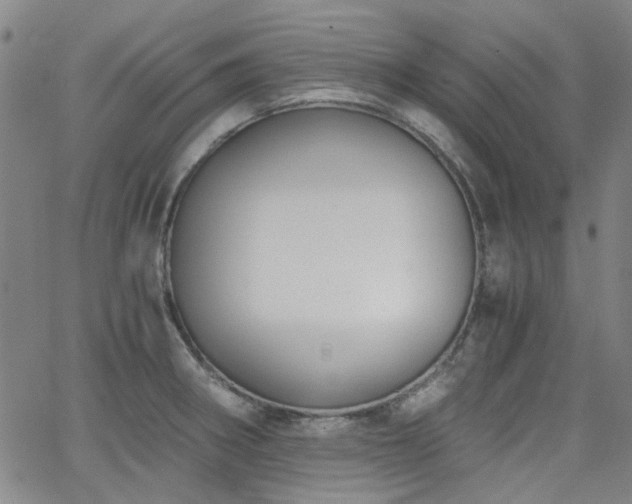 X0000063521282200601201424