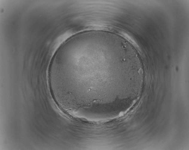 X0000063521283200601201424