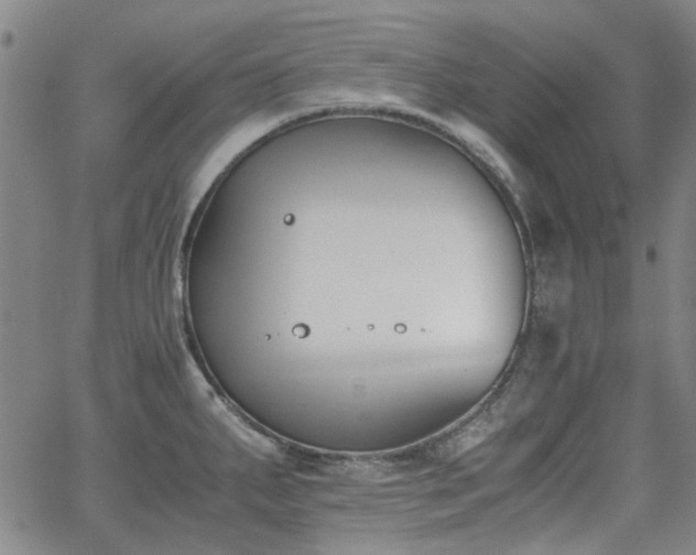 X0000063521287200601201423