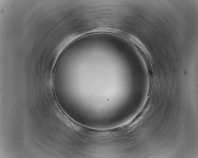 X0000063521292200601201423