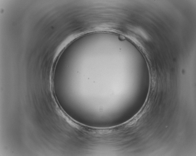 X0000063521294200601201423