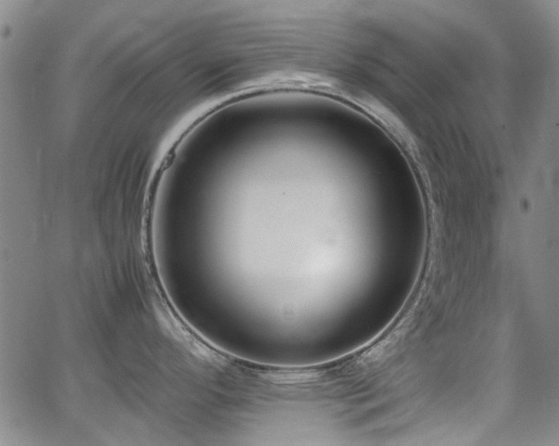 X0000063521296200601201423