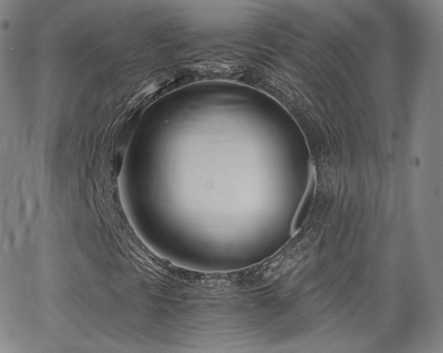 X0000063521297200601201423