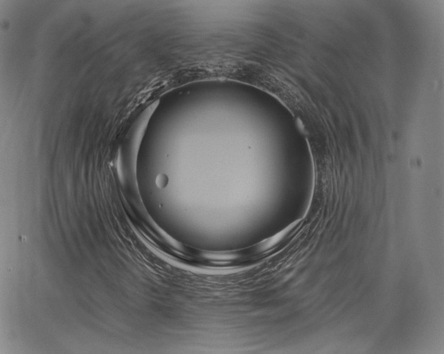 X0000063521298200601201423