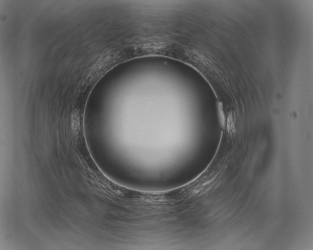 X0000063521299200601201423