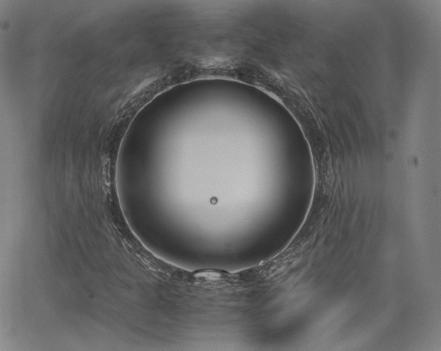 X0000063521301200601201423