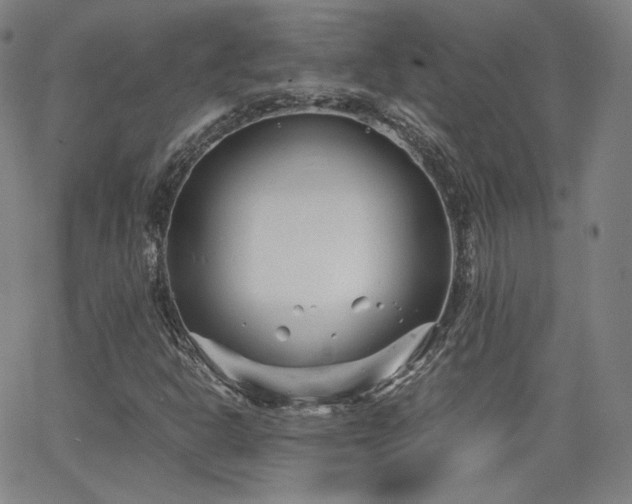 X0000063521302200601201423