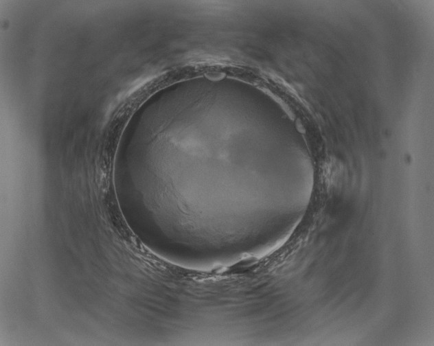 X0000063521303200601201423