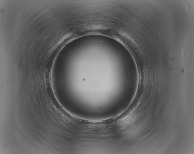 X0000063521305200601201423