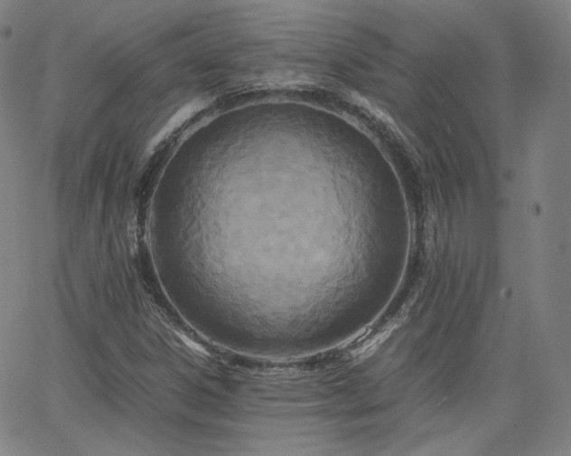 X0000063521306200601201423