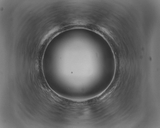 X0000063521307200601201423