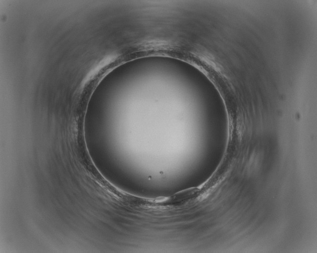 X0000063521309200601201423