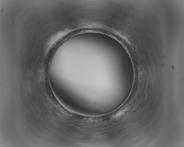 X0000063521311200601201423