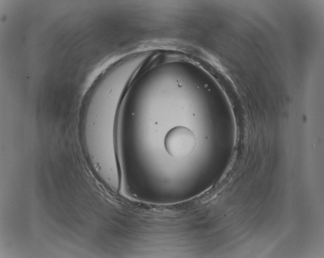 X0000063521312200601201423