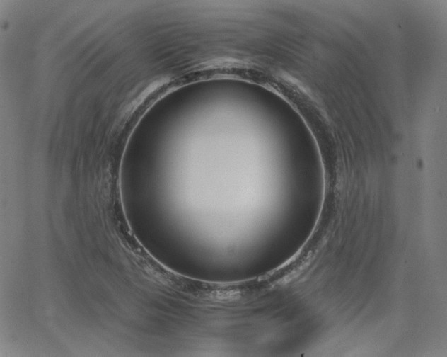 X0000063521313200601201423