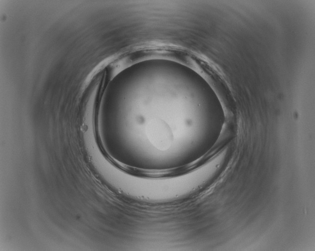 X0000063521314200601201423