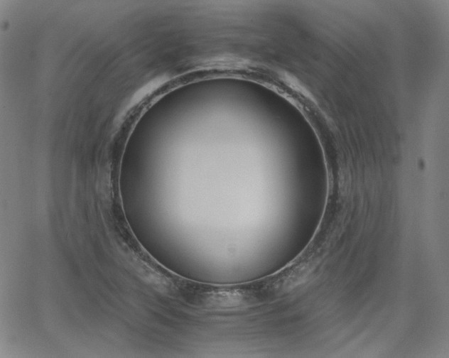 X0000063521315200601201423