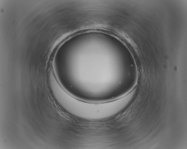 X0000063521316200601201423