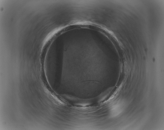 X0000063521319200601201423