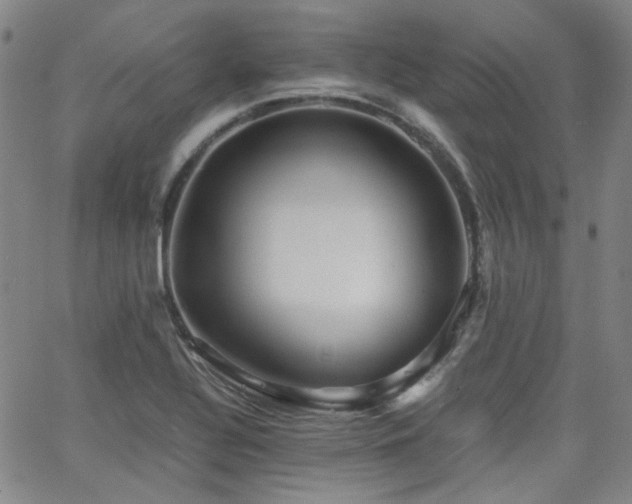 X0000063521320200601201423