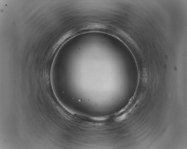 X0000063521321200601201423