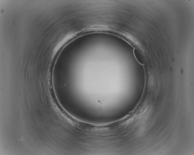 X0000063521325200601201423