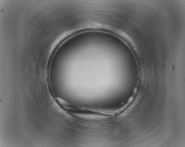 X0000063521326200601201423