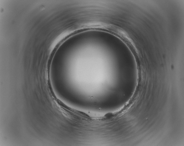 X0000063521328200601201423