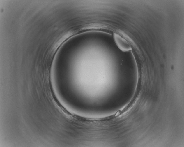 X0000063521329200601201423