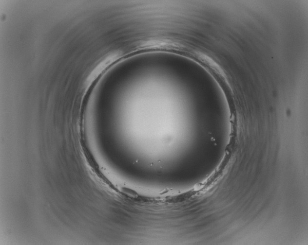 X0000063521330200601201423