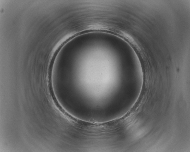 X0000063521331200601201423