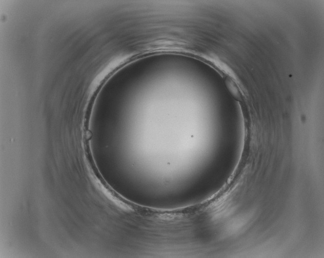 X0000063521333200601201423