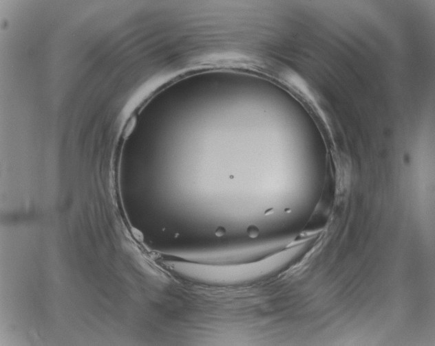 X0000063521336200601201423