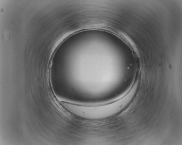 X0000063521340200601201423