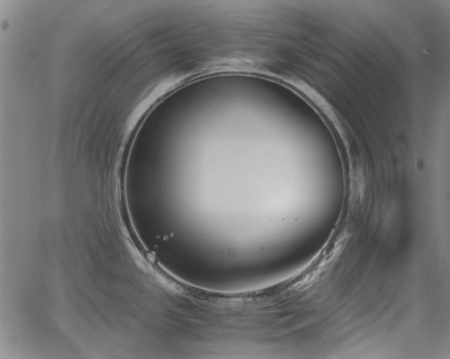 X0000063521341200601201423