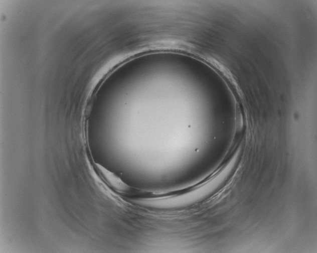 X0000063521342200601201423