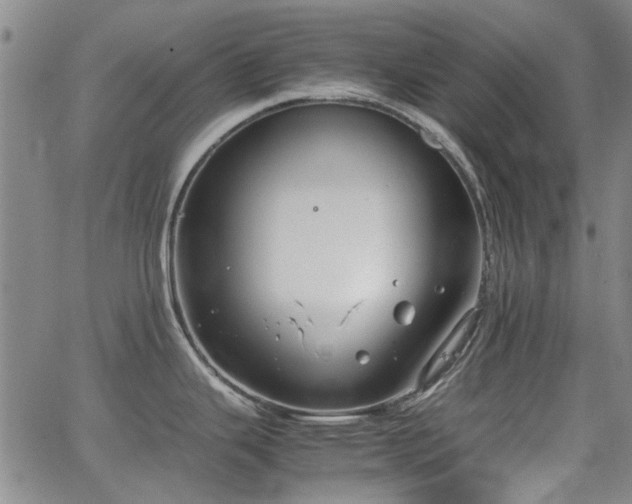 X0000063521343200601201423